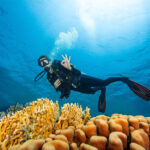 Young Woman Diver Exploring Sea Bottom