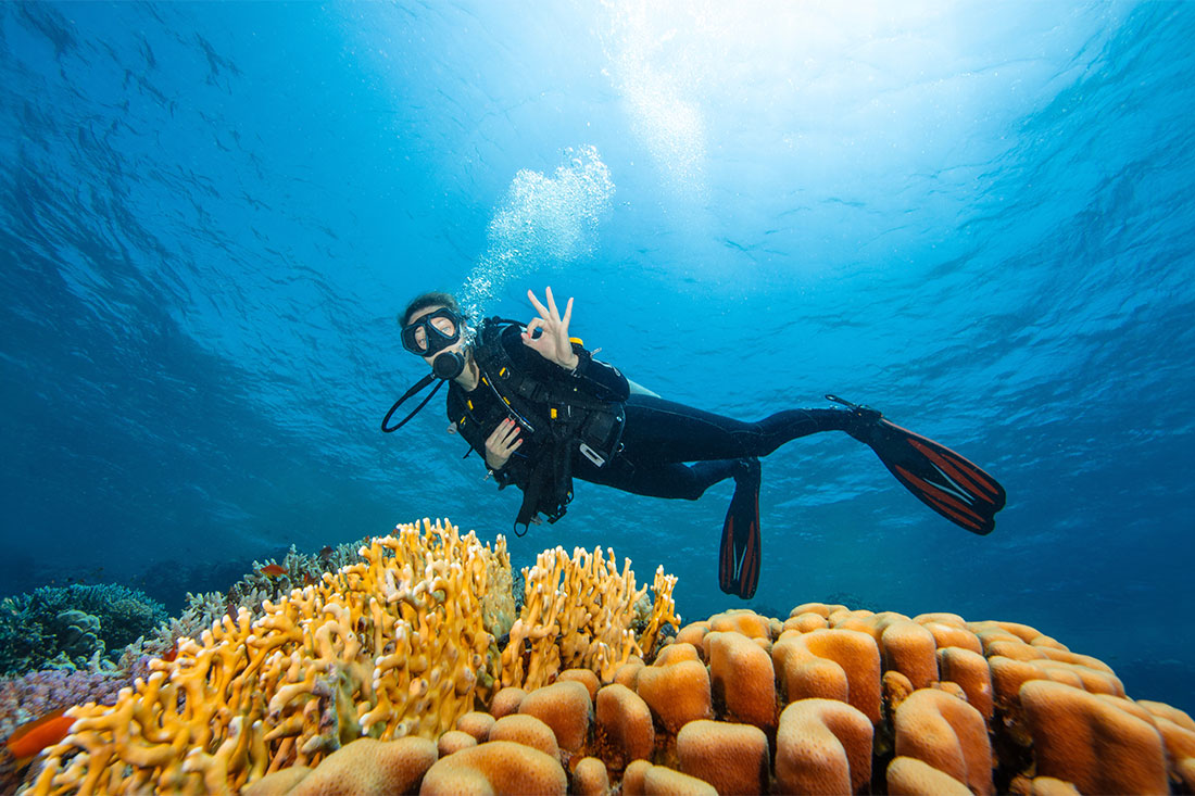 Young Woman Diver Exploring Sea Bottom