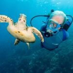 Older man scuba diving looking at sea turtle at Jean-Michel Cousteau Resort, Fiji