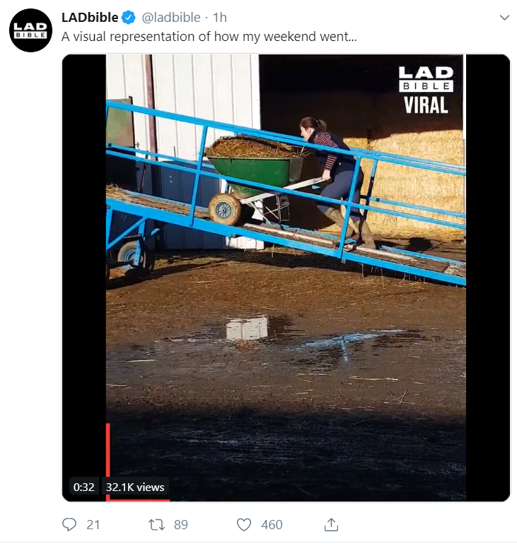 A screenshot of a video posted on Twitter by LadBible.